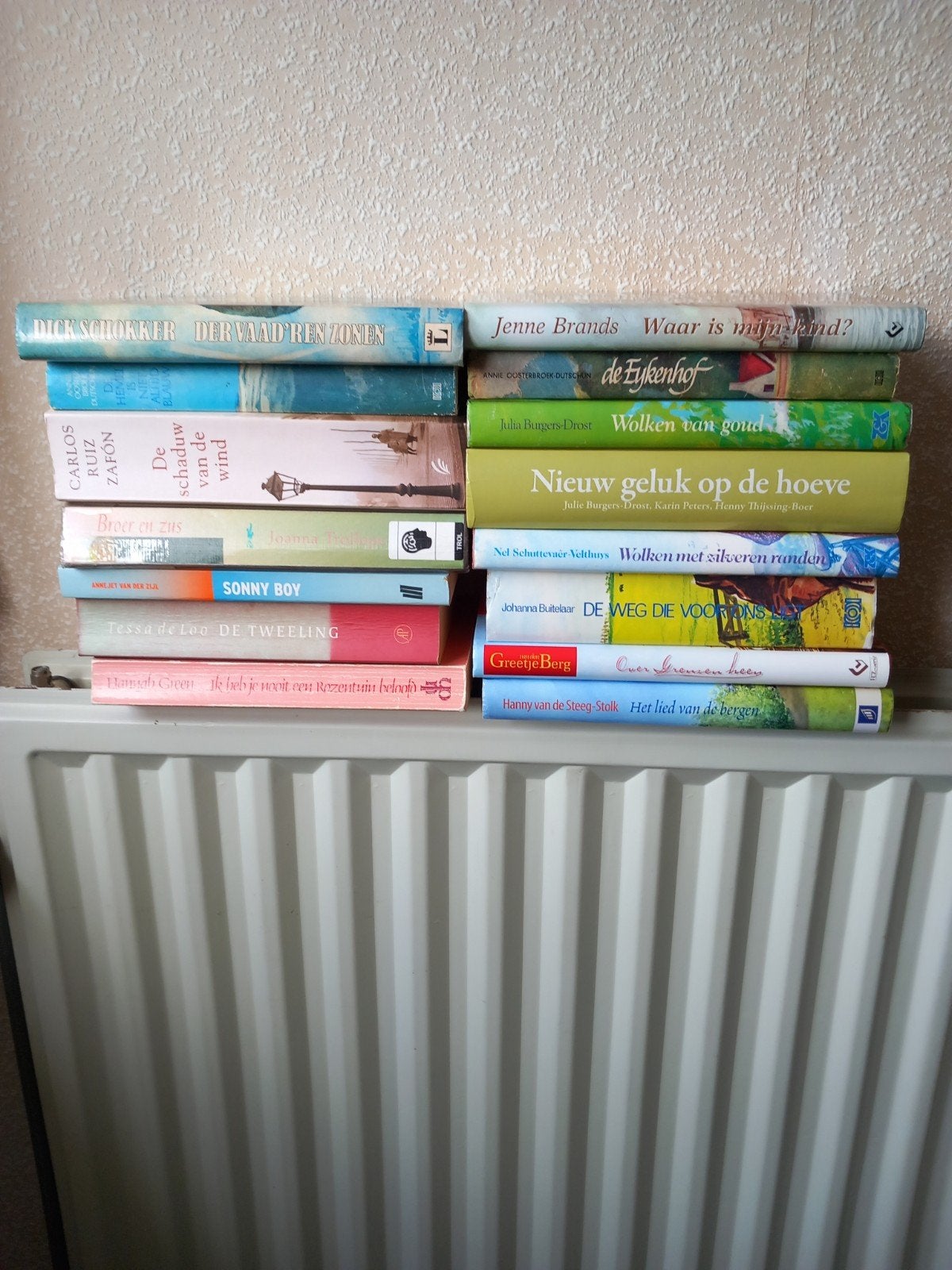 Lees roman, Ophalen of Verzenden, Zo goed als nieuw, Kind en Jeugd