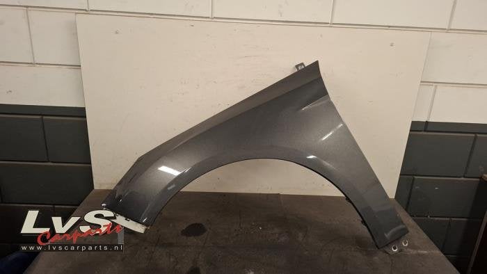 Scherm links-voor van een Ford Focus (BF6), Gebruikt, -, -, Ophalen of Verzenden