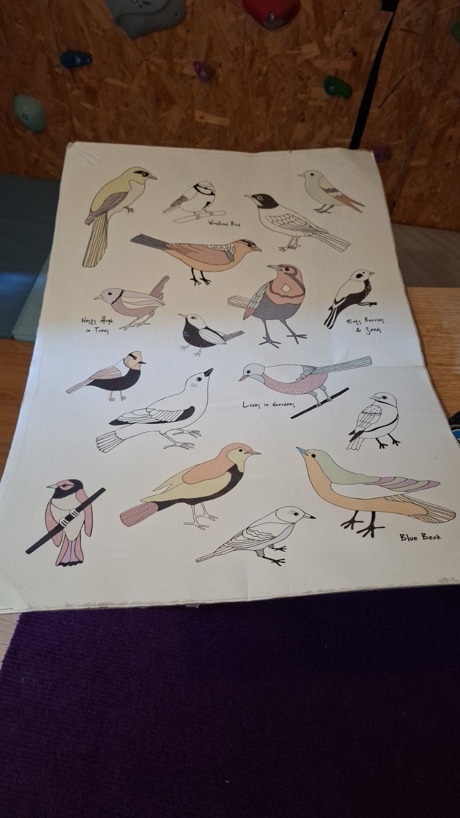 Grote Ikea poster met vogels - decoratie voor elke kamer, Verzamelen, Ophalen, Deurposter of groter, Rechthoekig Staand, Dier of Natuur
