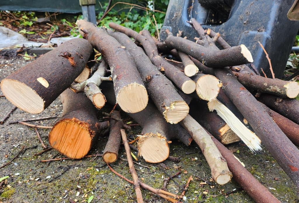 Stammen/takken als brandhout, Tuin en Terras, Haardhout, Ophalen, Stammen