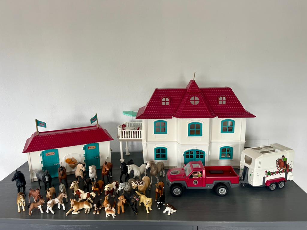Schleich Horse Club Lakeside - grote set!, Kinderen en Baby's, Speelgoed | Overig, Ophalen of Verzenden, Zo goed als nieuw, Jongen of Meisje