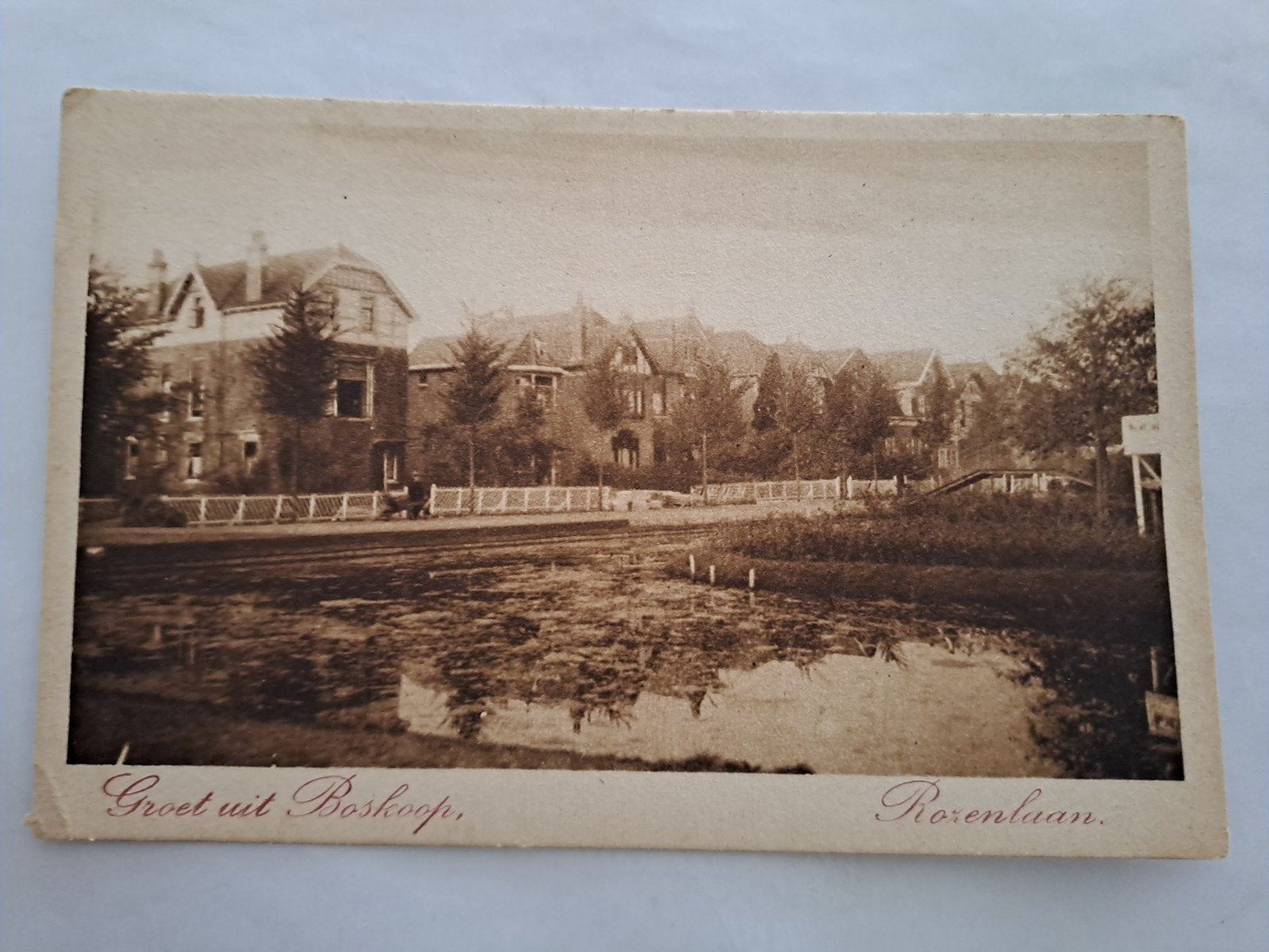 Boskoop, Ophalen of Verzenden