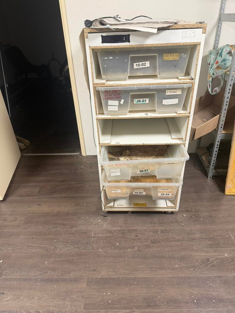 Slangen rack/kast, Dieren en Toebehoren, Reptielen en Amfibieën | Toebehoren, Ophalen, Gebruikt