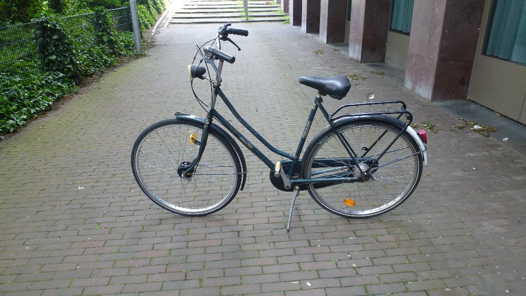 Raleigh., Gebruikt, 56 cm of meer, Trommelrem, Ophalen