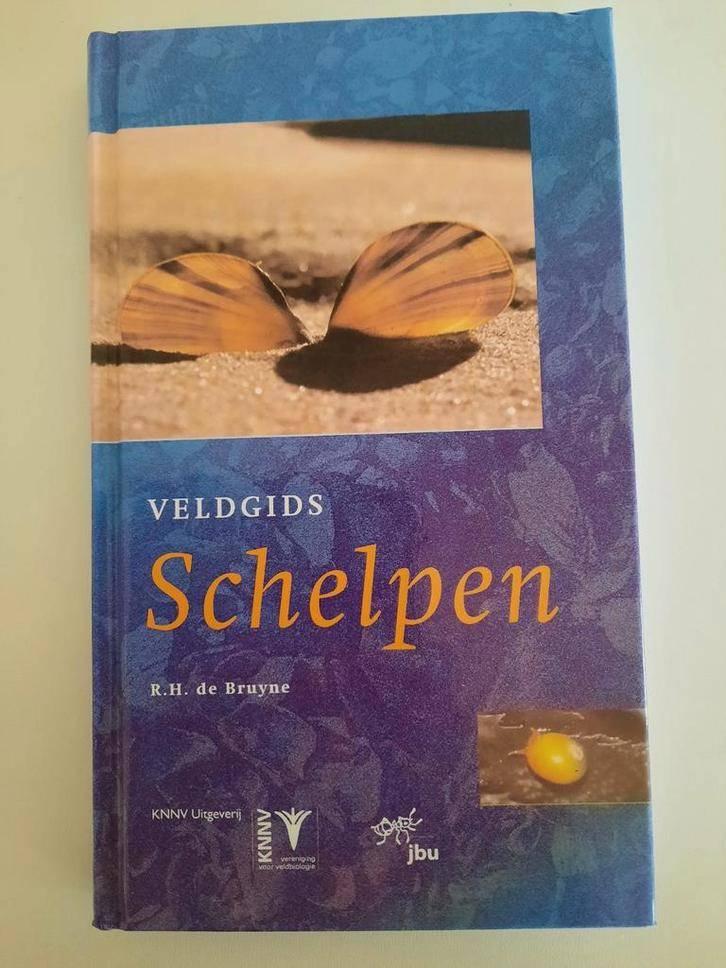 veldgids Schelpen . Rykel de Bruyne, Boeken, Natuur, Ophalen of Verzenden, Zo goed als nieuw, Overige onderwerpen, R.de Bruyne