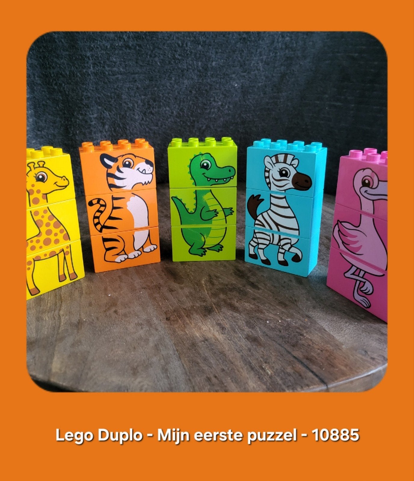 LEGO Duplo Mijn Eerste Puzzel 10885 - Dieren, Ophalen, Compleet, Zo goed als nieuw, Duplo
