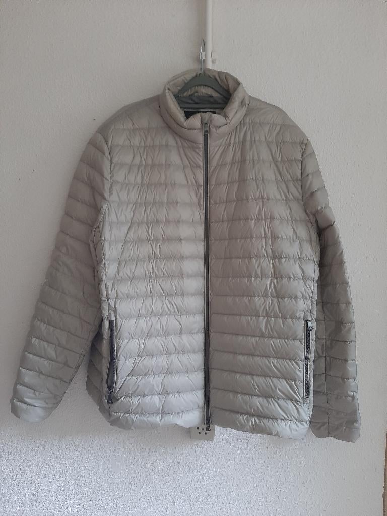 bomberjack - maat L - XL, Ophalen of Verzenden, Zo goed als nieuw, Maat 52/54 (L), Overige kleuren