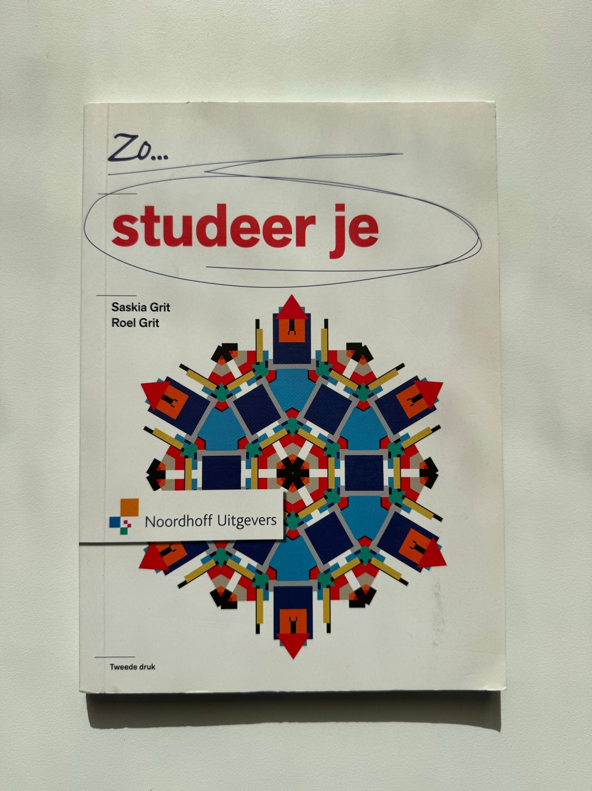 Zo... studeer je - Saskia Grit, Roel Grit (Tweede druk), Ophalen of Verzenden, Gamma, Gelezen, Overige niveaus
