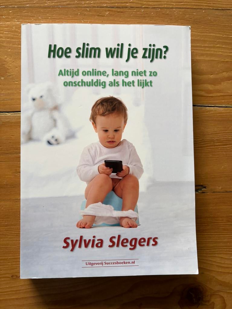 Sylvia Slegers - Hoe slim wil je zijn?, Boeken, Ophalen of Verzenden, Sylvia Slegers
