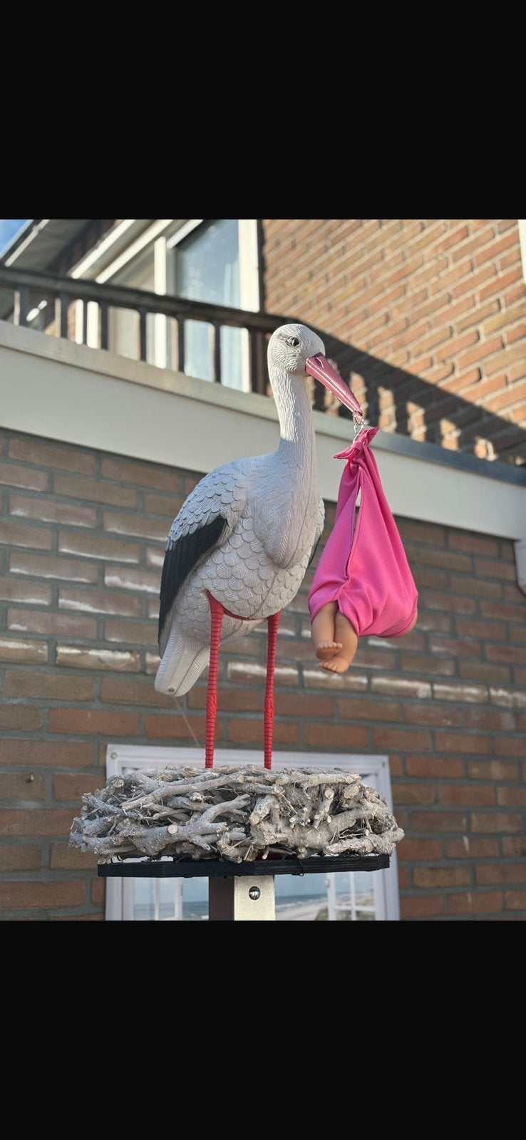 TE HUUR GEBOORTEBORD MET EI/OOIEVAAR, Kinderen en Baby's, Kraamcadeaus en Geboorteborden, Ophalen of Verzenden, Nieuw
