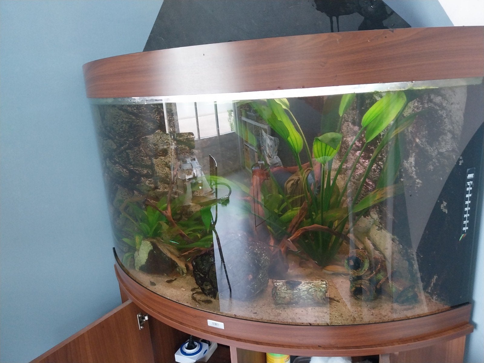 Aquarium met vissen en alle andere spullen MOET SNEL WEG, Dieren en Toebehoren, Vissen | Aquaria en Toebehoren, Ophalen, Inclusief toebehoren
