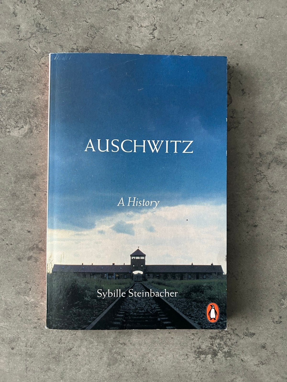 Auschwitz: A History - Sybille Steinbacher (Paperback), Boeken, Geschiedenis | Wereld, Ophalen of Verzenden, 20e eeuw of later