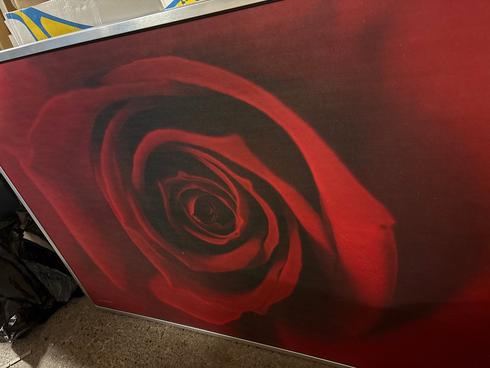 Schilderij rode roos in lijst - groot!, Antiek en Kunst, Ophalen, Ingelijst, Print, Bloemen