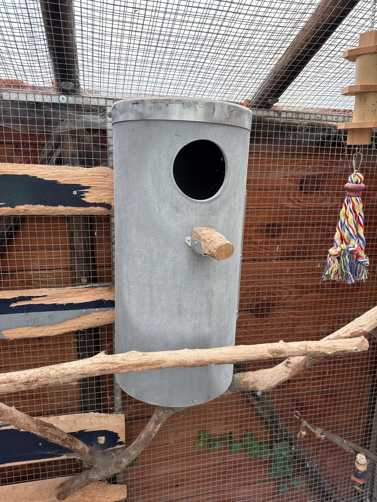 Kaketoe broebkast, Dieren en Toebehoren, Ophalen, Hout, Vogelkooi