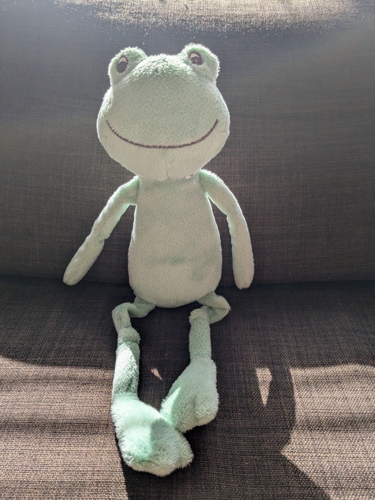 Leuke groene kikker knuffel, 40 cm, Kikker, Groen, Overige merken, Overige karakters