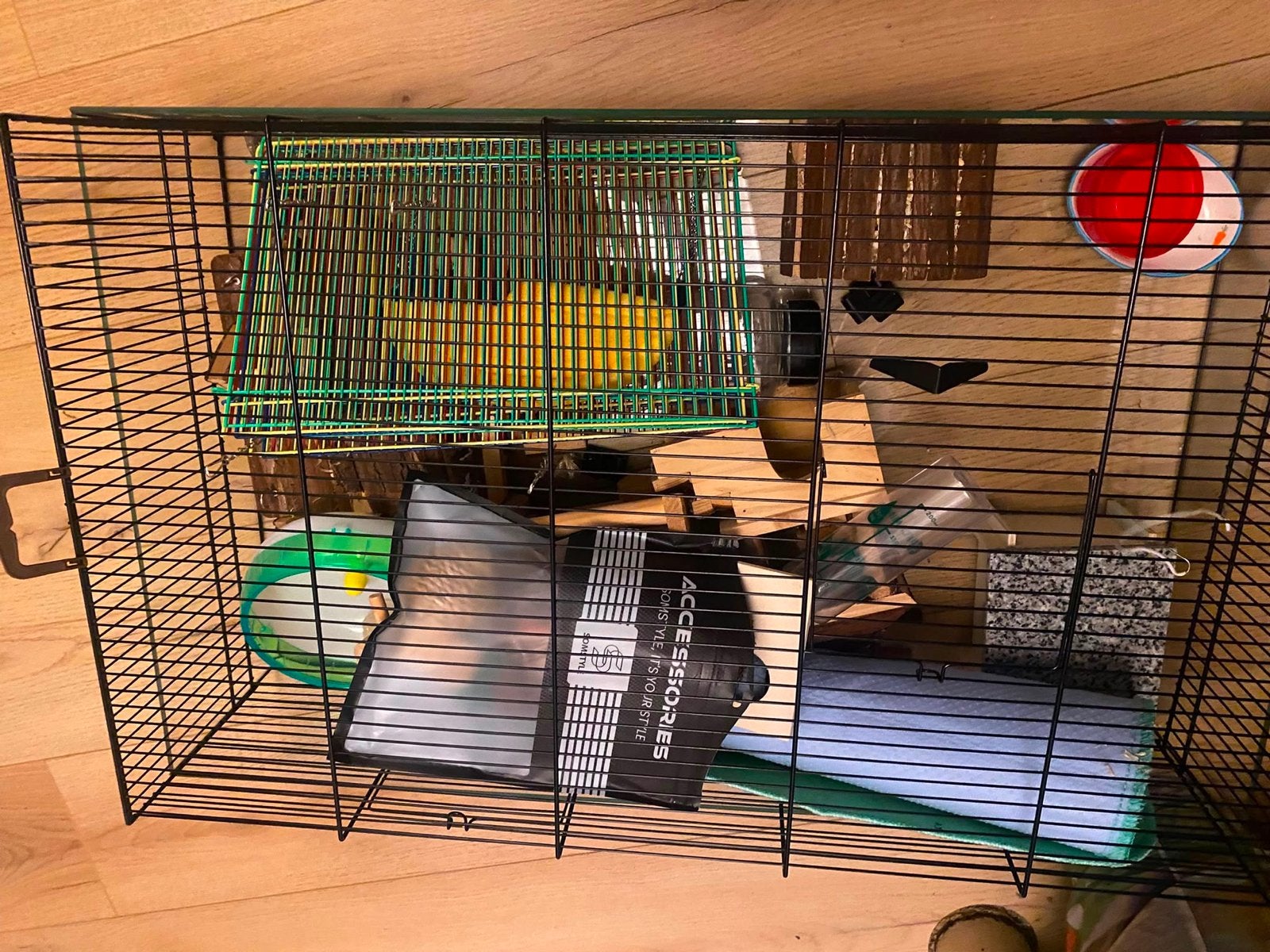 Hamsterkooi glas, Dieren en Toebehoren, Kooi, Minder dan 75 cm, Zo goed als nieuw, Ophalen