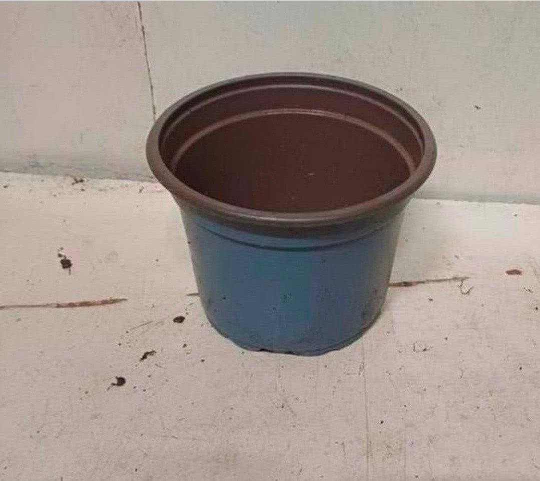kweekpotten plantenpotten bloempotten 2 liter, Kunststof, Gebruikt, Rond, Ophalen of Verzenden