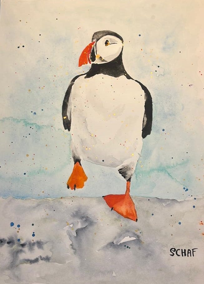 Vrolijke aquarel papegaaiduiker, Aquarel, Handgeschilderd, Papier/karton, Ophalen of Verzenden