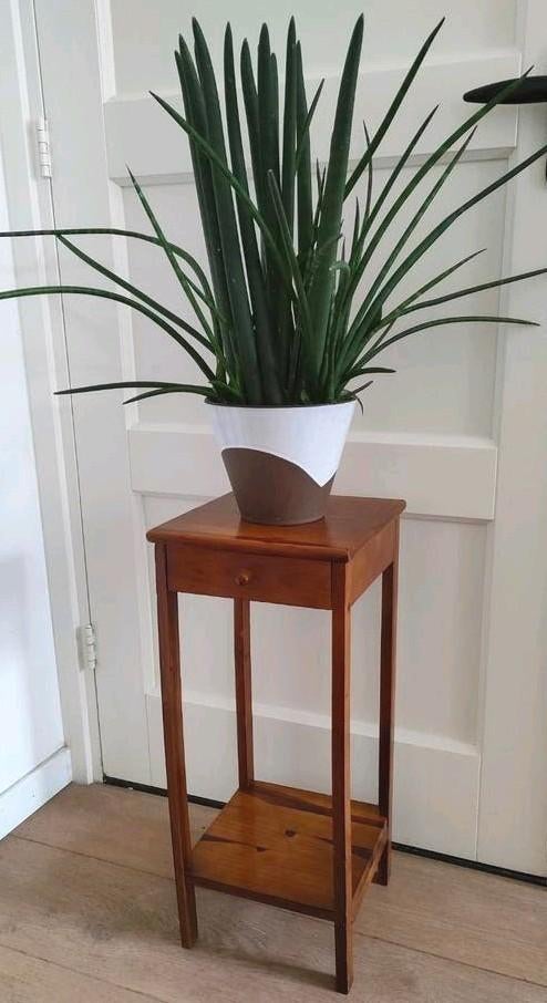 Vintage plantentafeltje tafeltje bijzettafeltje piedestal, Ophalen of Verzenden
