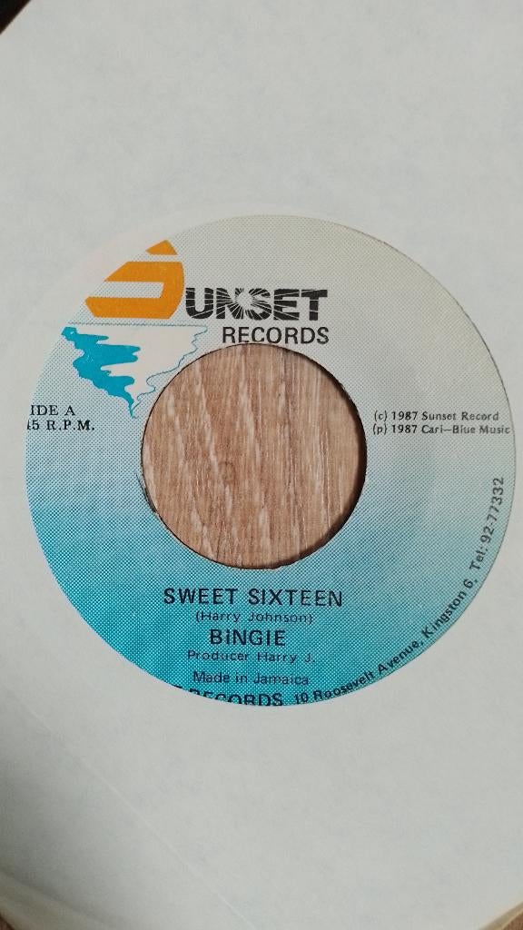 Bingie/Reggae/Dancehall, Gebruikt, Wereldmuziek, Originele persing, 7 inch
