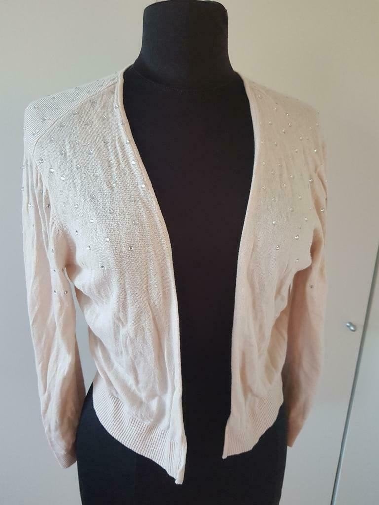 H&M fijngebreid vest met strass-steentjes - maat L, H&M, Ophalen of Verzenden, Maat 42/44 (L)