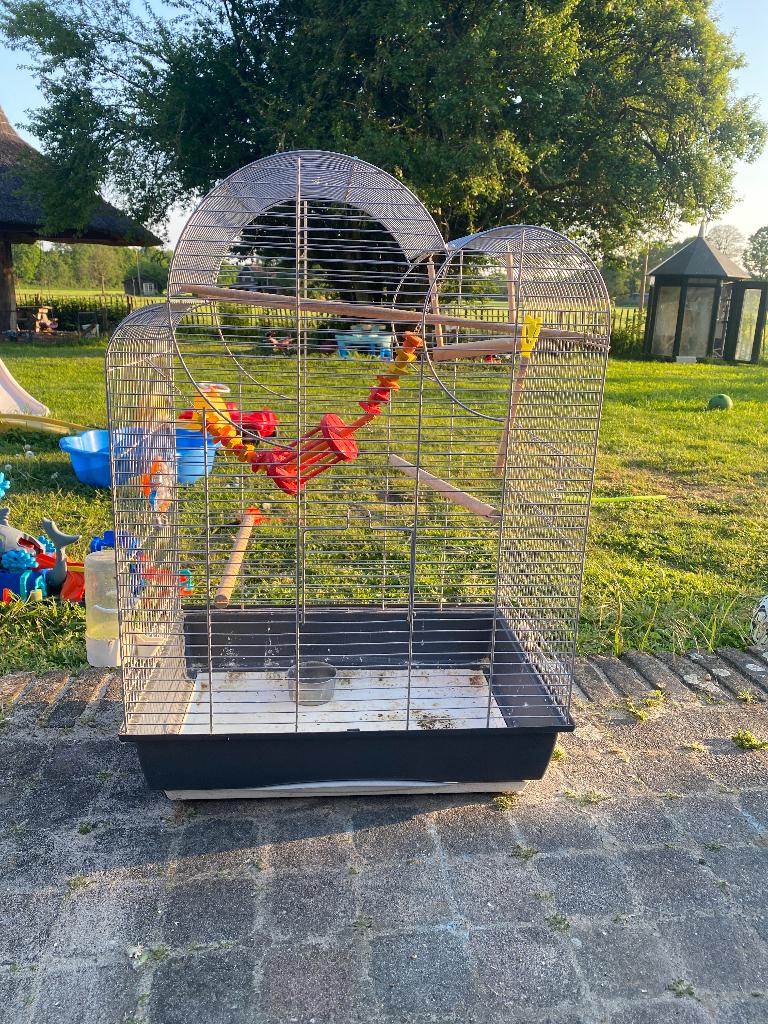 Vogelkooi, Ophalen of Verzenden, Zo goed als nieuw, Metaal, Vogelkooi