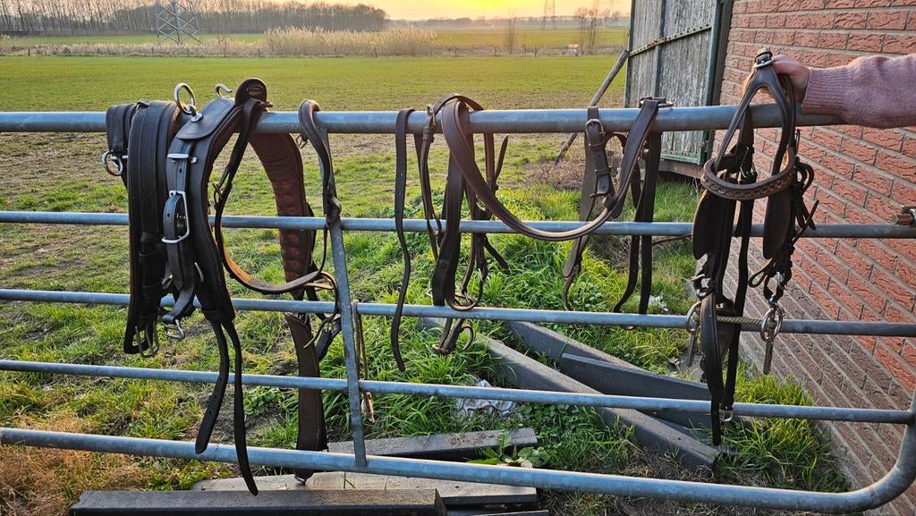 Leren Clever tuig maat COB, Ophalen, Gebruikt, Overige soorten