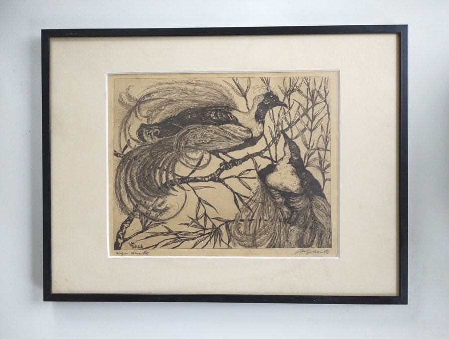 Jan Schonk ets Paradijsvogels, Ets, Flora en Fauna, 1900 - 1949, Ingelijst