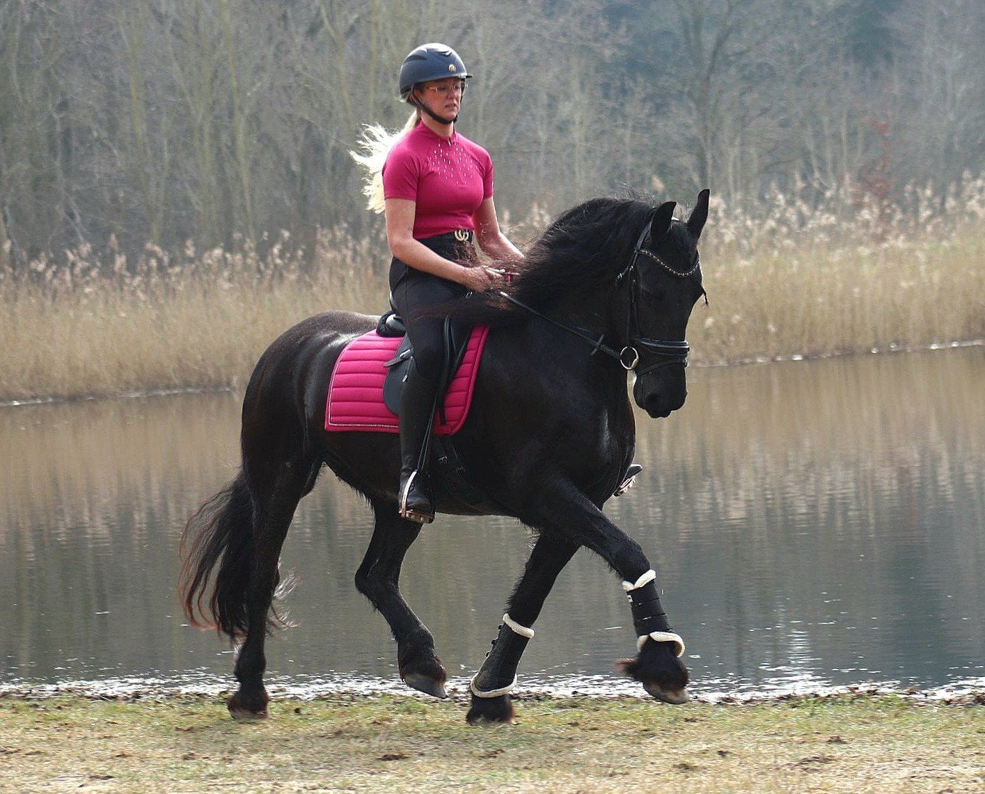Lieve betrouwbare friese stermerrie!, Dieren en Toebehoren, Paarden, Merrie, 160 tot 165 cm, 11 jaar of ouder, Recreatiepaard