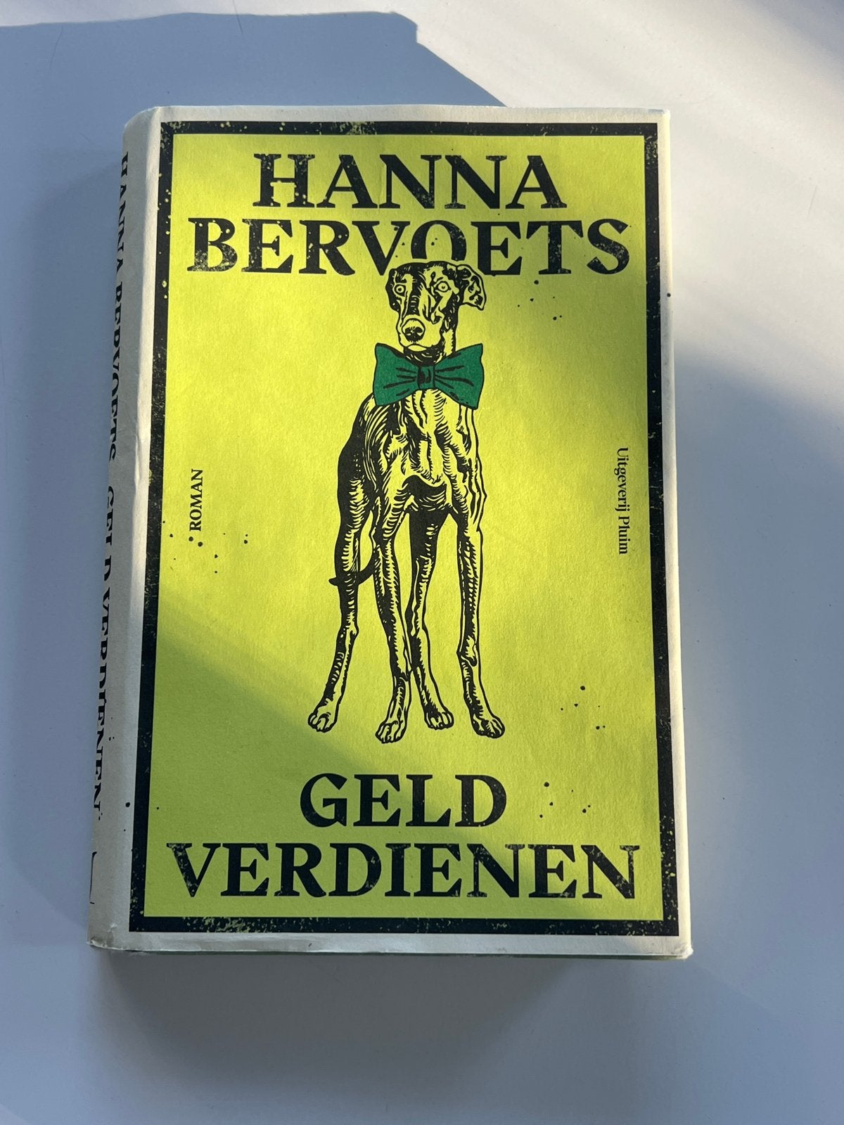 Hanna Bervoets - Geld Verdienen (1x gelezen), Ophalen of Verzenden, Gelezen