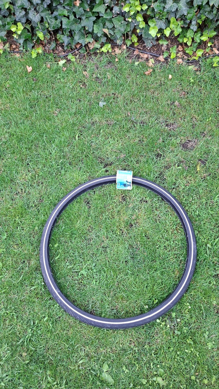 Nieuwe Pegasus XTRA fietsband 28 inch, Ophalen, Band, Elektrische fiets, Nieuw