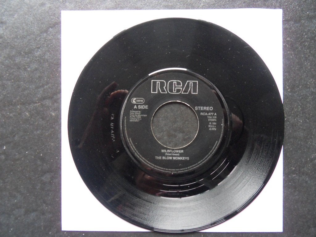 The Blow Monkees - Wildflower, Ophalen of Verzenden, Zo goed als nieuw, Pop