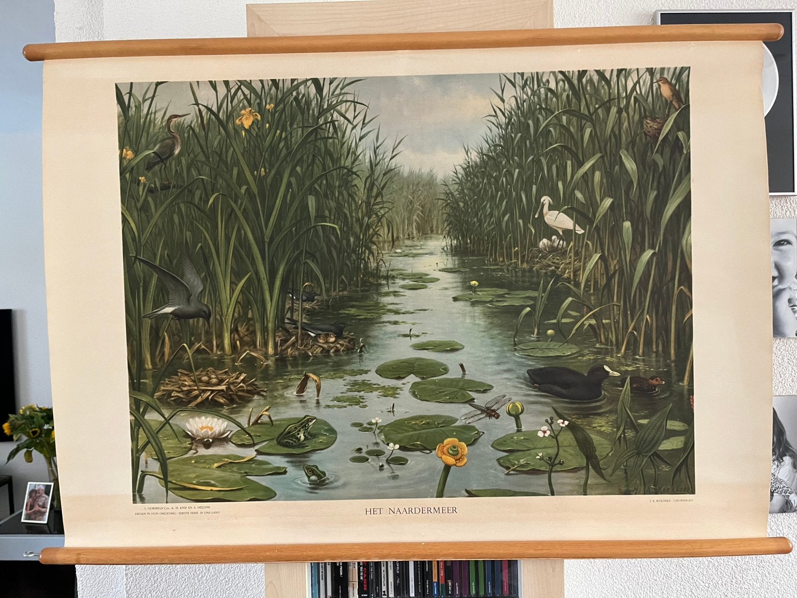Het Naardermeer wandkaart, Ophalen, Aardrijkskunde