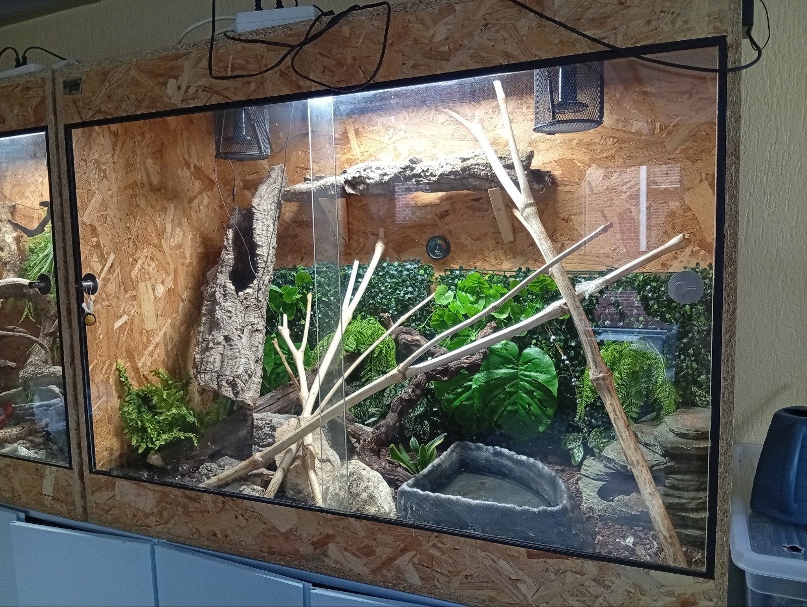 terraria met rattenslangen Rat Snake photo 3
