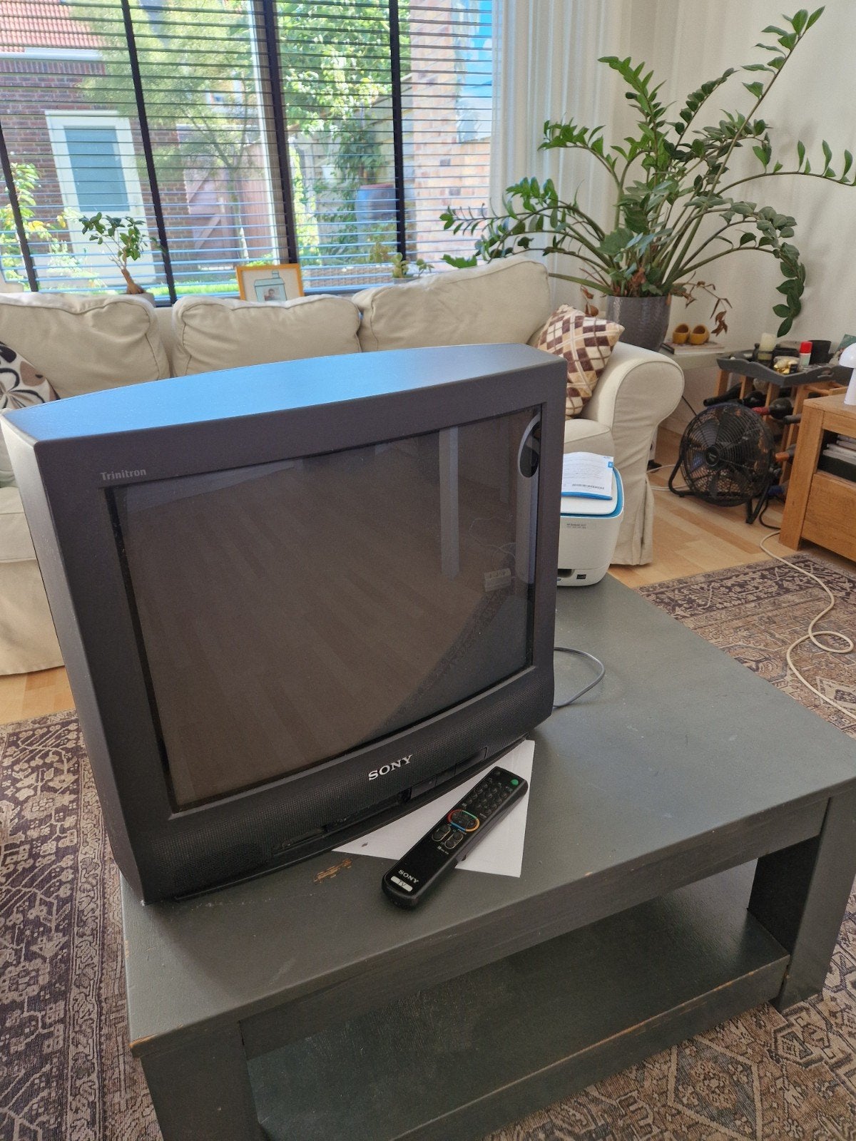 Sony Trinitron KV-21T1D Retro Gaming TV, Ophalen, Gebruikt, 40 tot 60 cm, Sony