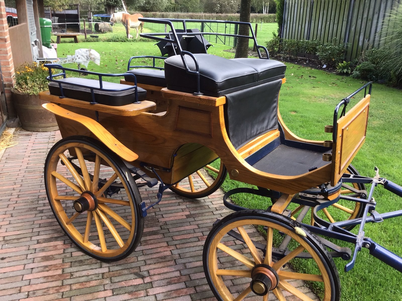 Te koop., Dieren en Toebehoren, Rijtuigen en Koetsen, Zo goed als nieuw, Pony