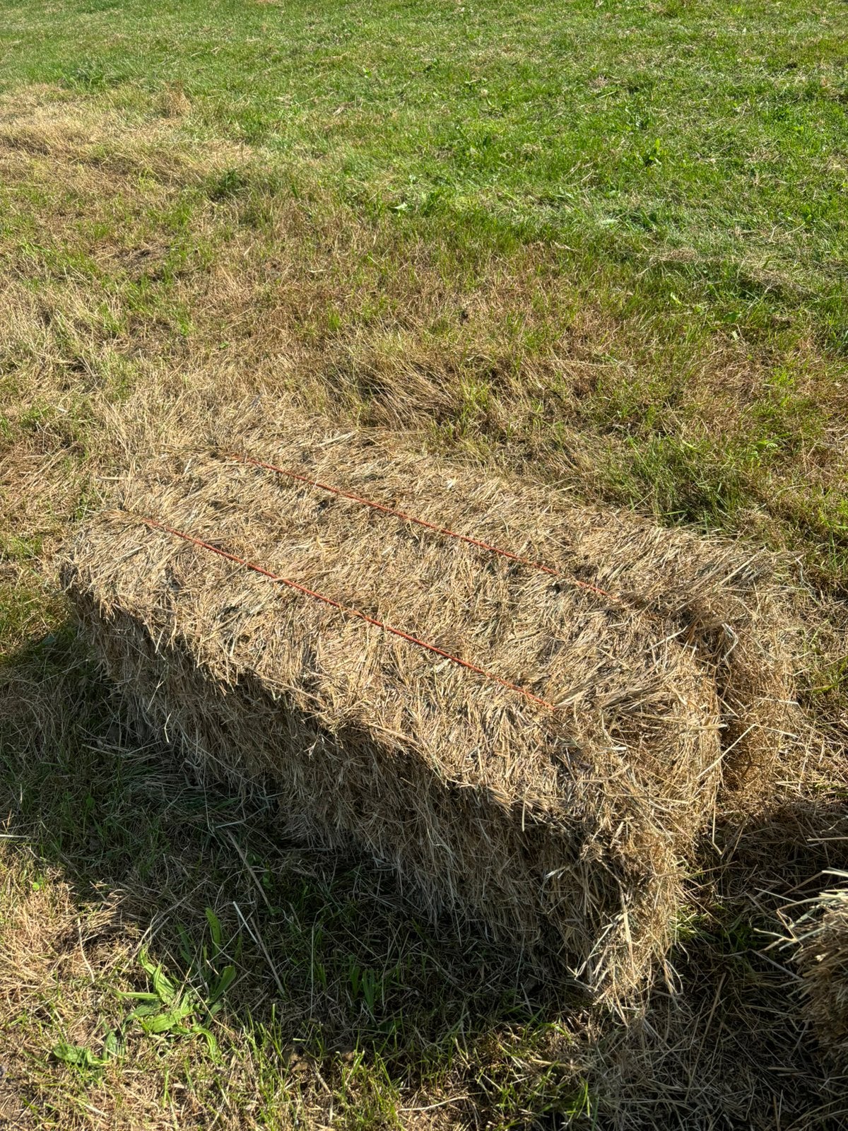 Hooipakjes kleine hooibalen hooi hooi, Ophalen, Vee