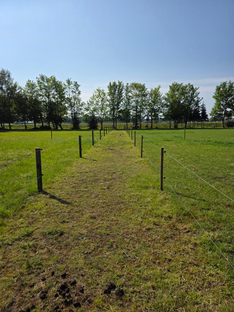Weidegang/Paddock paradise voor pony’s & kleine paardjes –, Dieren en Toebehoren, Stalling en Weidegang, Weidegang