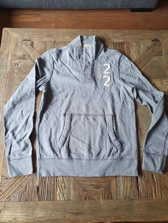 Hollister Trui Maat M, Kleding | Heren, Truien en Vesten, Ophalen of Verzenden, Gedragen, Grijs, Onbekend
