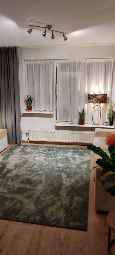 XL Vloerkleed 200x300 cm - Groen, Huis en Inrichting, Stoffering | Tapijten en Kleden, Ophalen, Groen, 200 cm of meer, Zo goed als nieuw