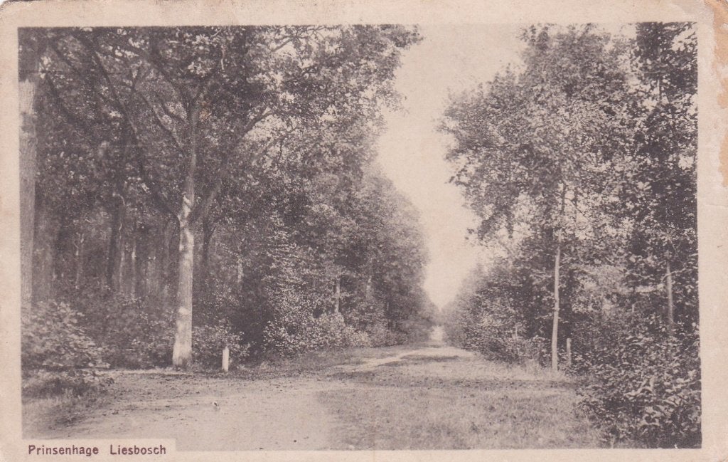 18825 Prinsenhage Liesbosch Breda Noord-Brabant, Verzenden, 1920 tot 1940, Gelopen, Noord-Brabant