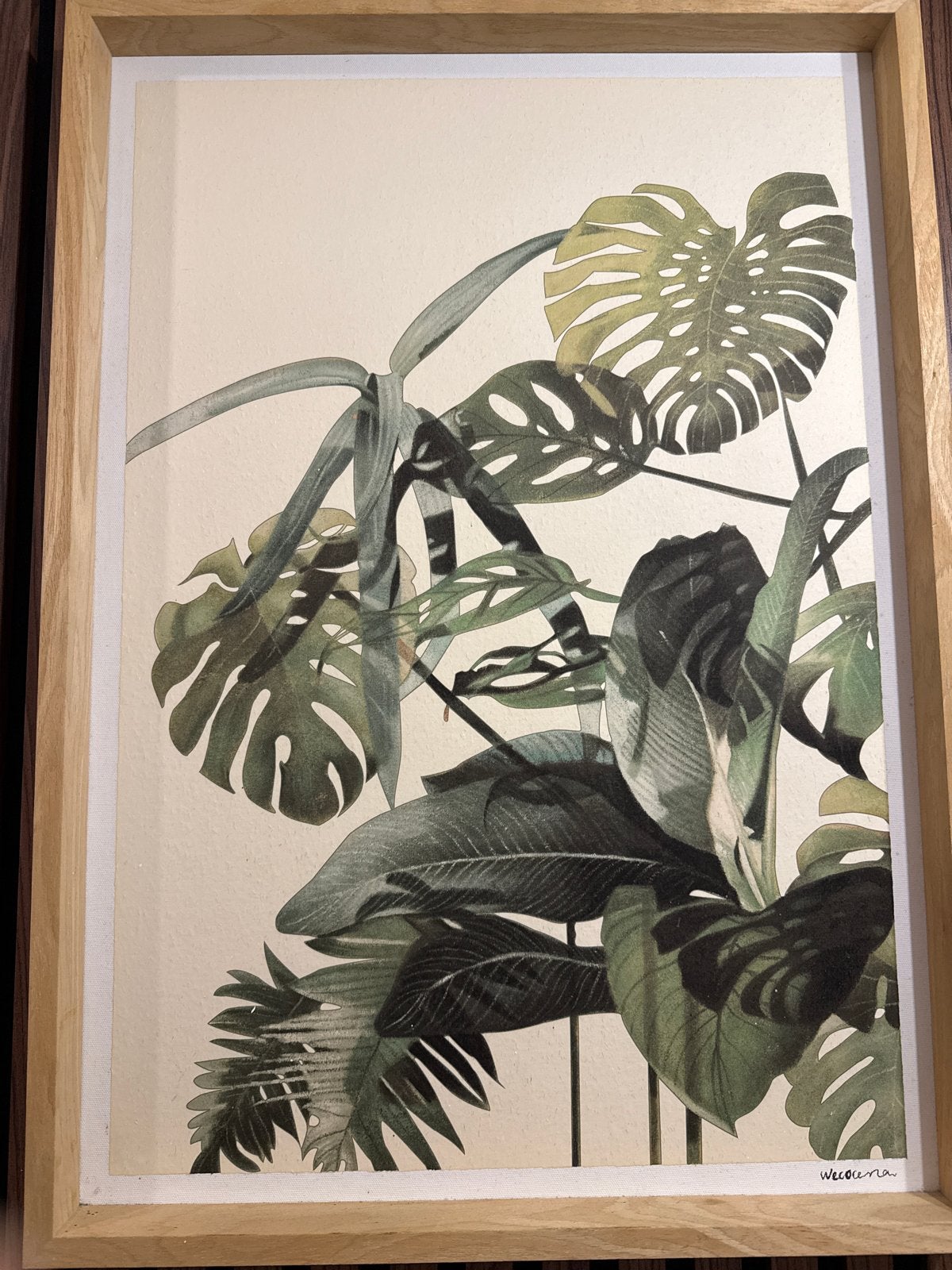 Ingelijste botanische print art van Monstera bladeren, Ophalen, 50 – 75, 50 tot 75 cm, Print