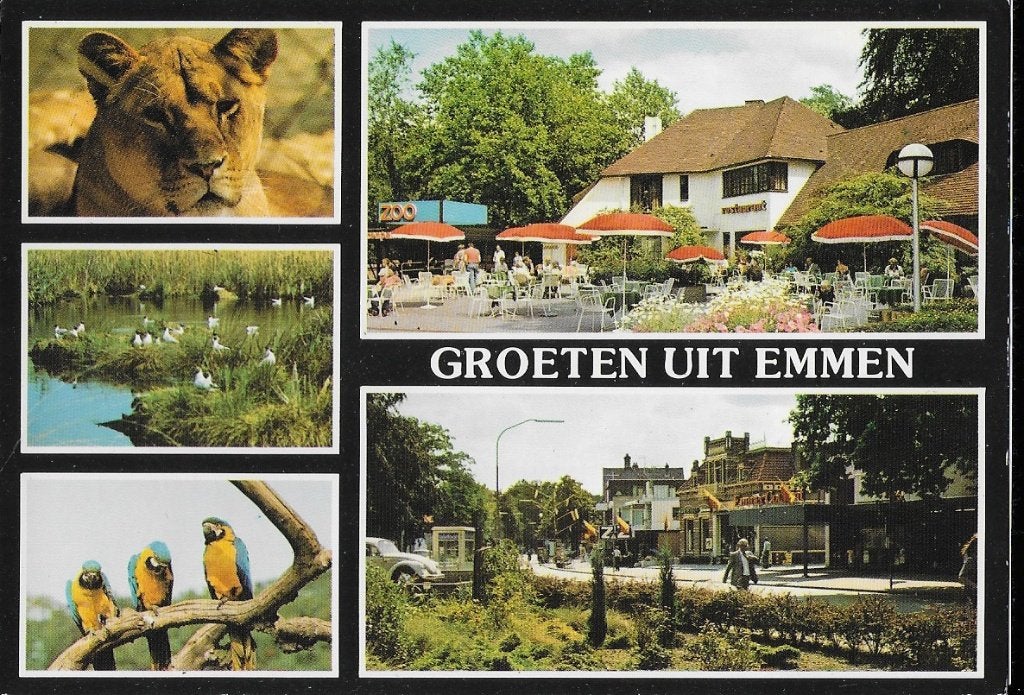 Emmen gelopen ansichtkaart (a261 ), Ophalen of Verzenden, 1980 tot heden, Gelopen, Drenthe