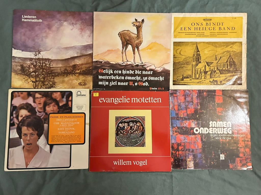 15 LP's Religieuze Psalmen (ook per stuk te koop), Ophalen of Verzenden, Gebruikt, 12 inch, Religie en Gospel