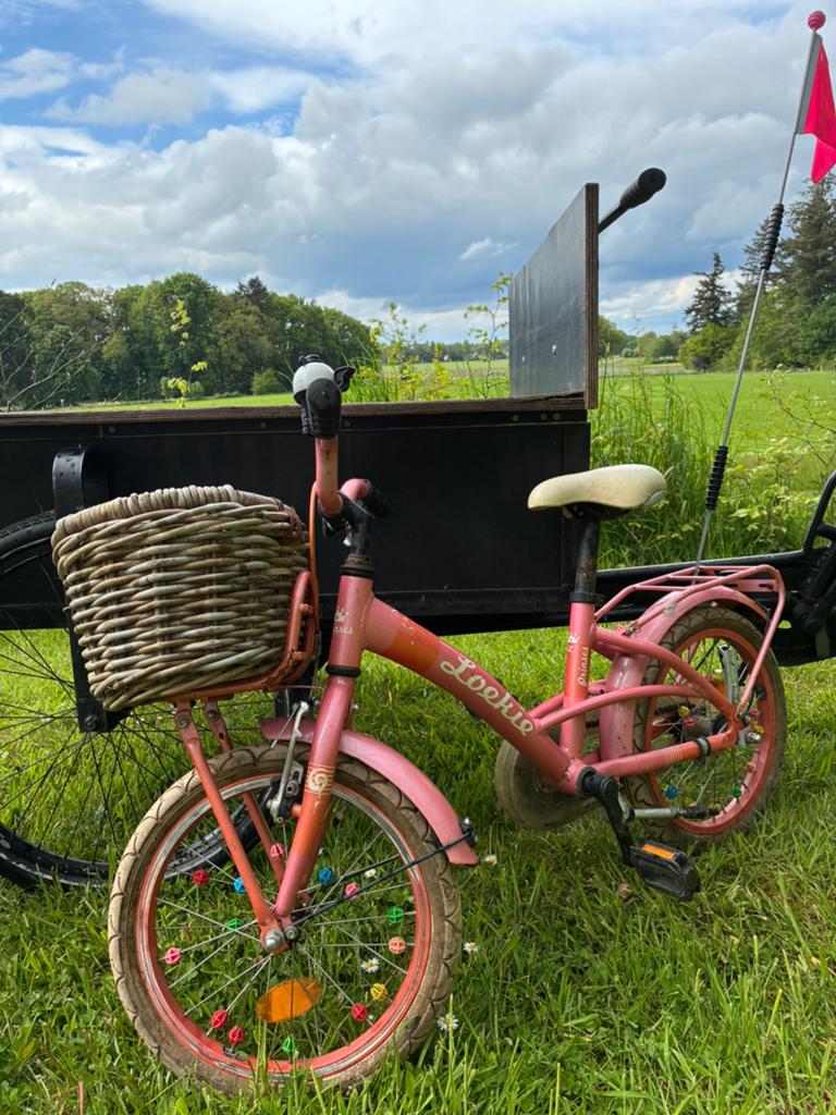 Roze kinderfiets 16 inch met mandje, Fietsen en Brommers, Fietsen | Kinderfietsjes, Ophalen, Gebruikt, Terugtraprem, 16 tot 20 inch