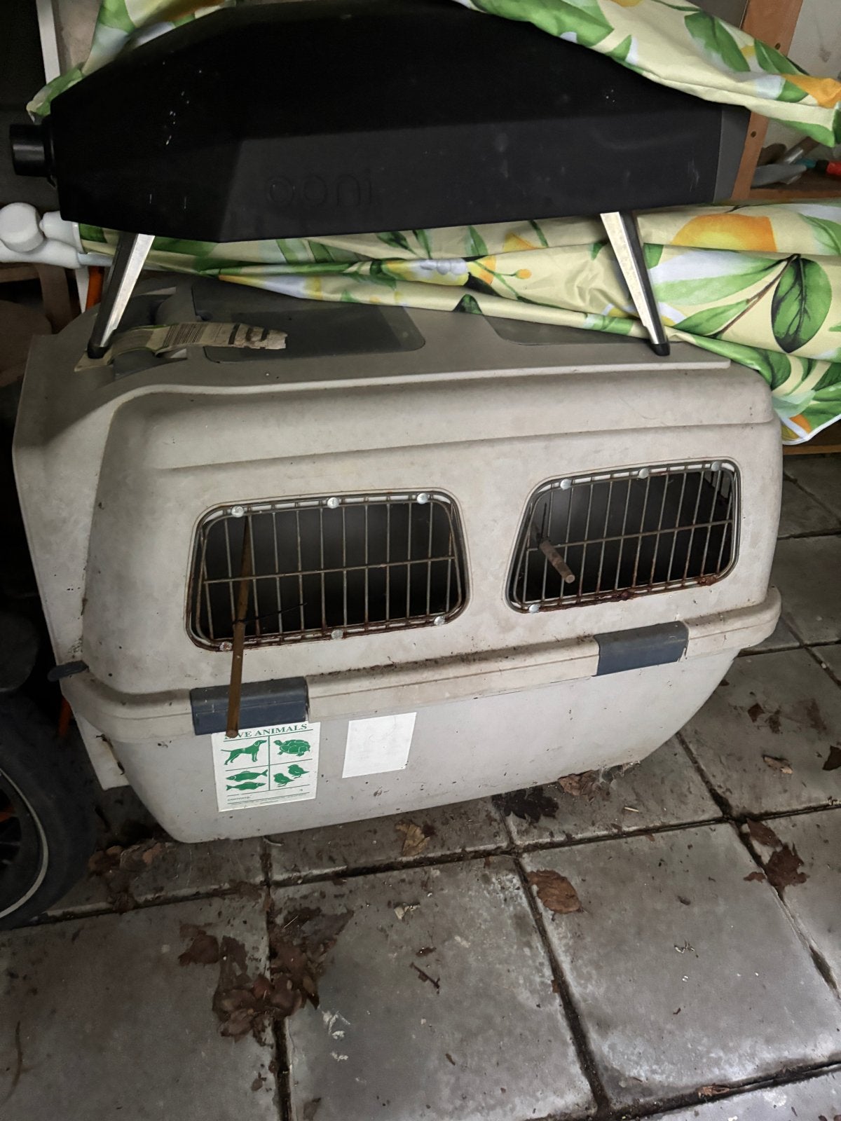 Reisbench hond medium/groot, Dieren en Toebehoren, Ophalen