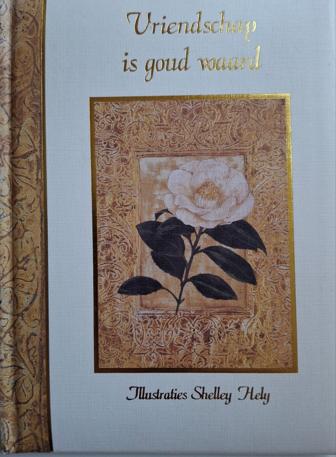 Vriendschap is goud waard - Geïllustreerd boek, Ophalen of Verzenden, Zo goed als nieuw, Shelley Hely (Illustraties), Ds. J. Belder