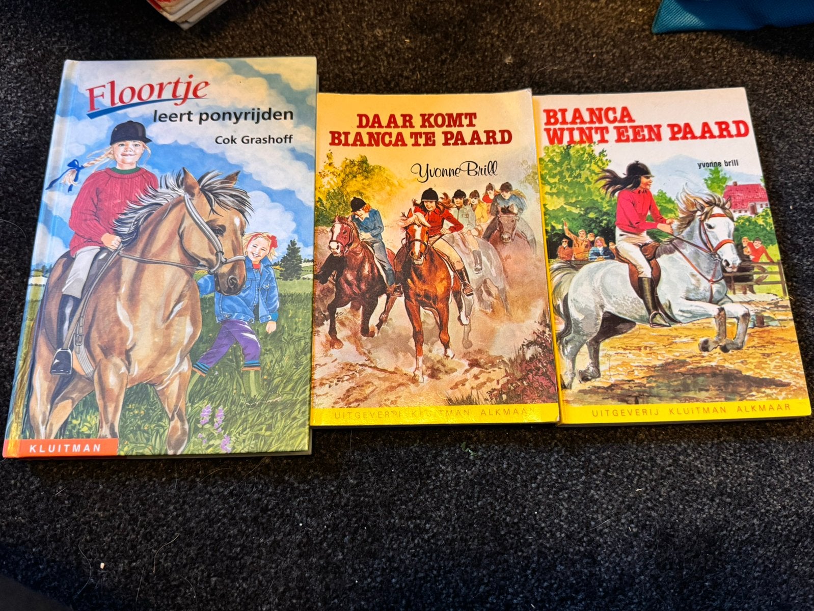 3 paardenboekhes, yvonne brill bianca en floortje, Ophalen of Verzenden, Gelezen, Fictie