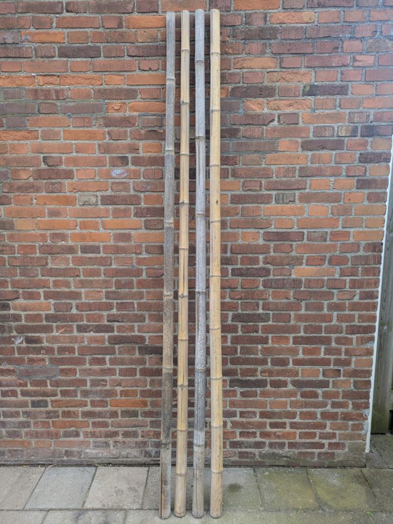 Bamboe palen 240 cm 4 stuks, Ophalen, 250 cm of meer, Palen