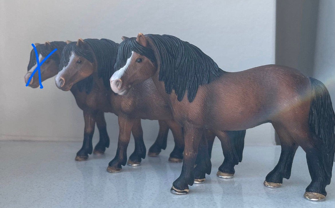 Schleich dartmoor, Ophalen of Verzenden, Nieuw, Paard, Beeldje of Figuurtje